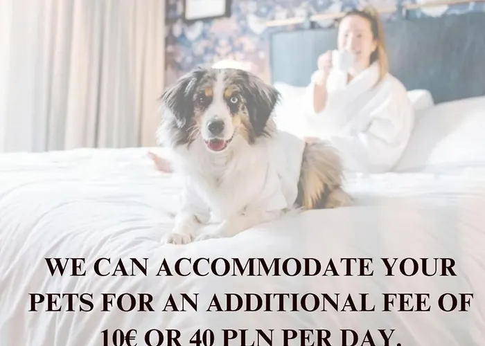 Apartment Lumina Duplex In Old Town Warsaw